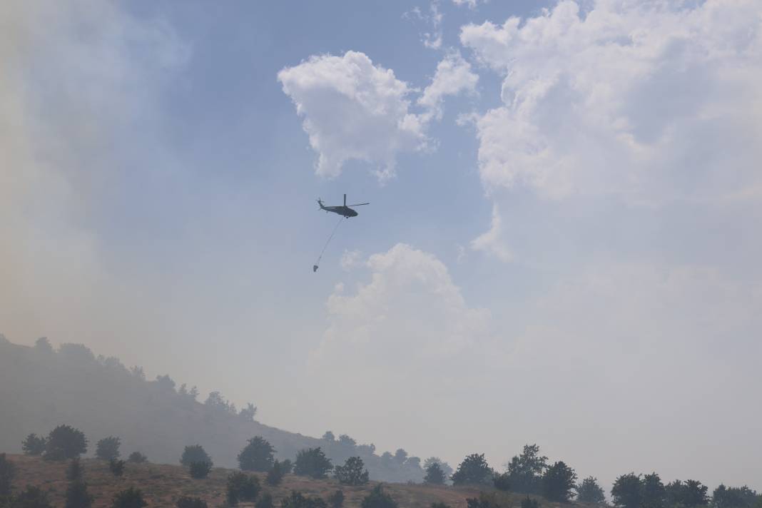 Elazığ'da orman yangını 15